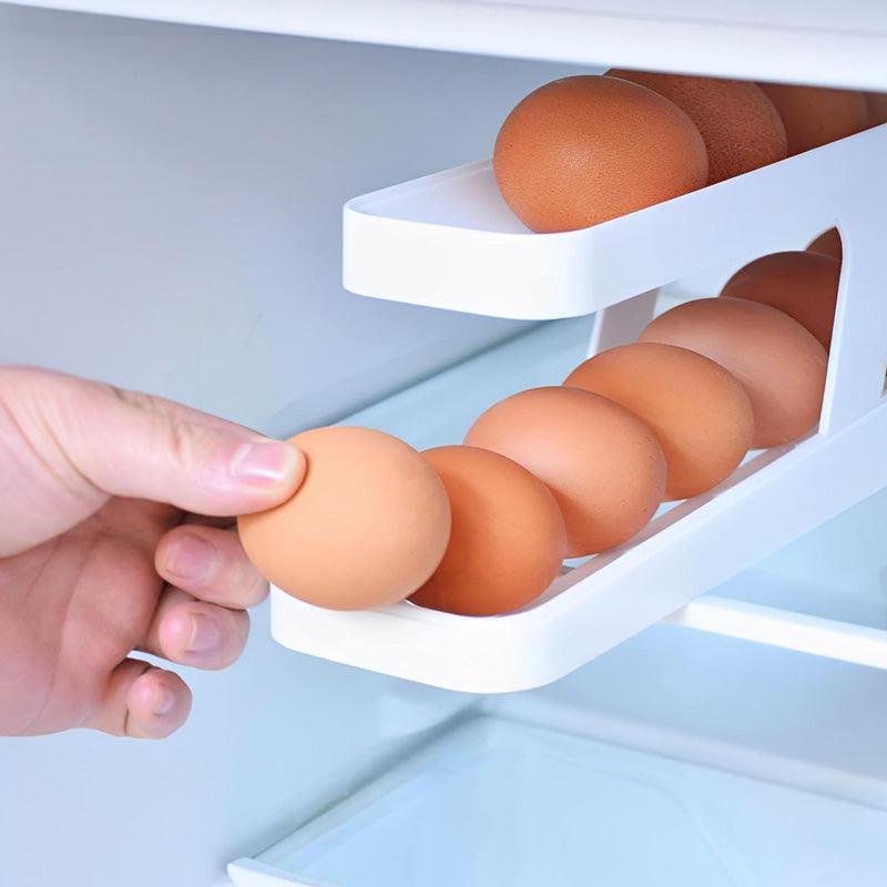 2 Layer Egg Dispenser Refrigerator